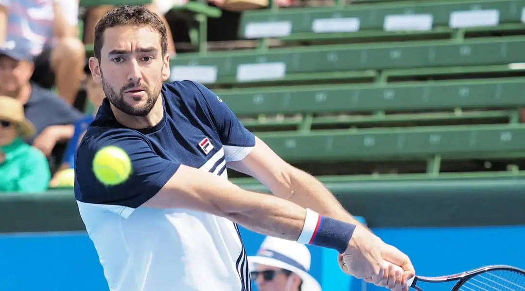 Cilic klar for ny Grand Slam-finale