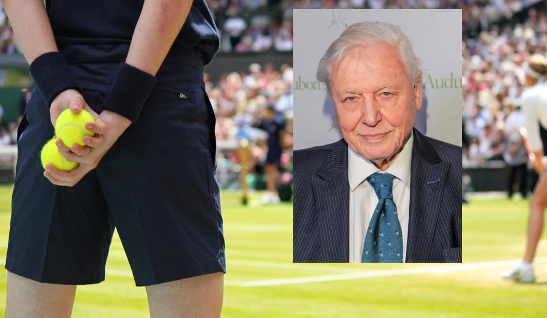 David Attenborough forandret tennisballens farge